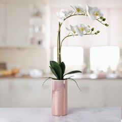 Dolly Parton White Artificial Orchid in Pink Ceramic Pot, 9.8×5.5×24 Inch