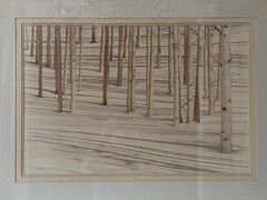 HUGE Signed Sepia Photograph 42″ x 32″ – Birch Trees in Snow by William Plante