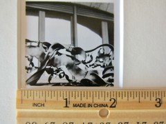 JULIETAS ANSALAS photograph, copy manually realized by artist on silver gelatin