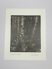 Jim Fitzgerald The Group of Three Signed Photograph Carbon Transfer