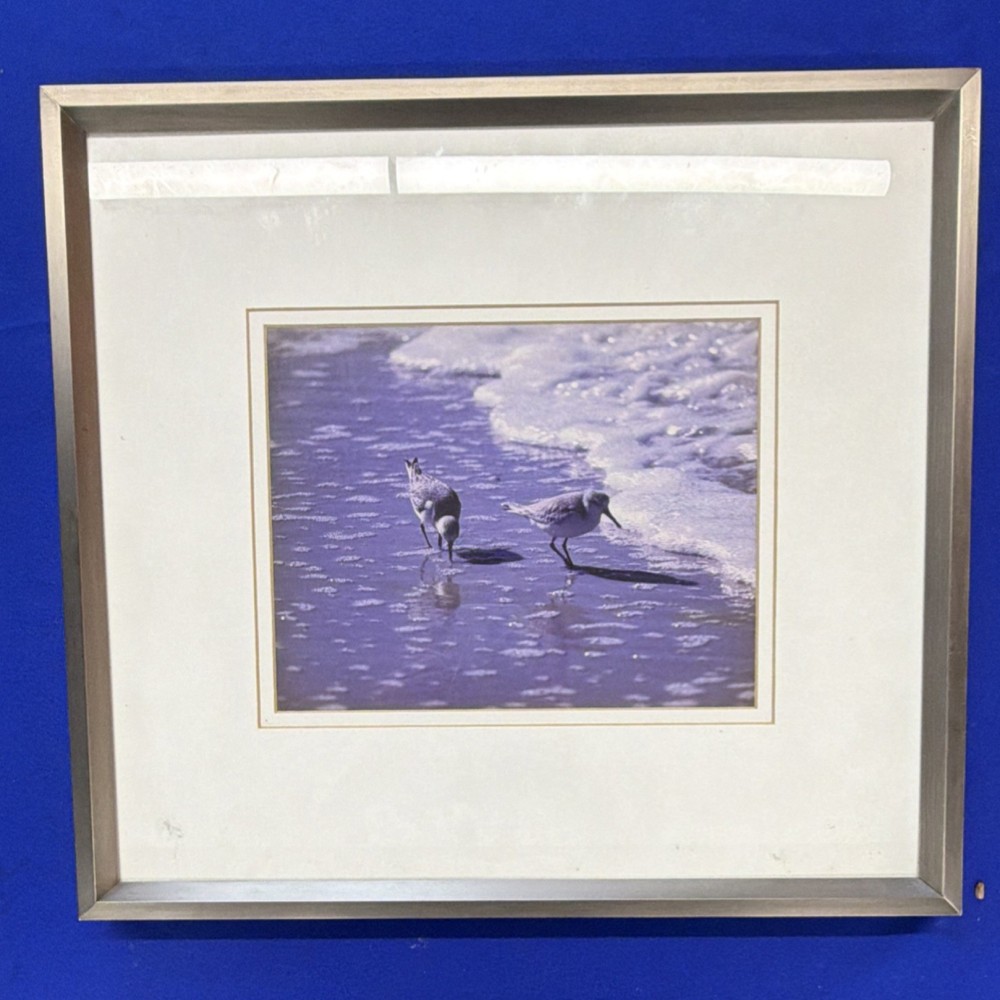 Framed Matted Wildlife Photography Birds on Shore Color Landscape Photograph