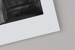 Fine Art B+W Photography Signed Ltd Edition SURREAL Tree of Knowledge in AD 2000