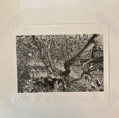 Kent Bowser (American B. 1949) Untitled II 1984 Gelatin Silver Print, Cleveland