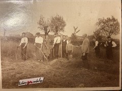 🏞️Bundle 6 Photos ~40-50s Farmers Village Life Field Women Men Device SW ~9×13