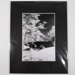 Black Mat Photo Landscape Park Infrared Photography Bridge Trees Art Print