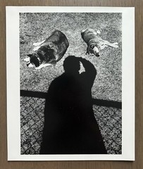 🎈SIGNED Daido Moriyama – Self-Portrait, Gelatin silver Print, Lim Ed, 10×12 In