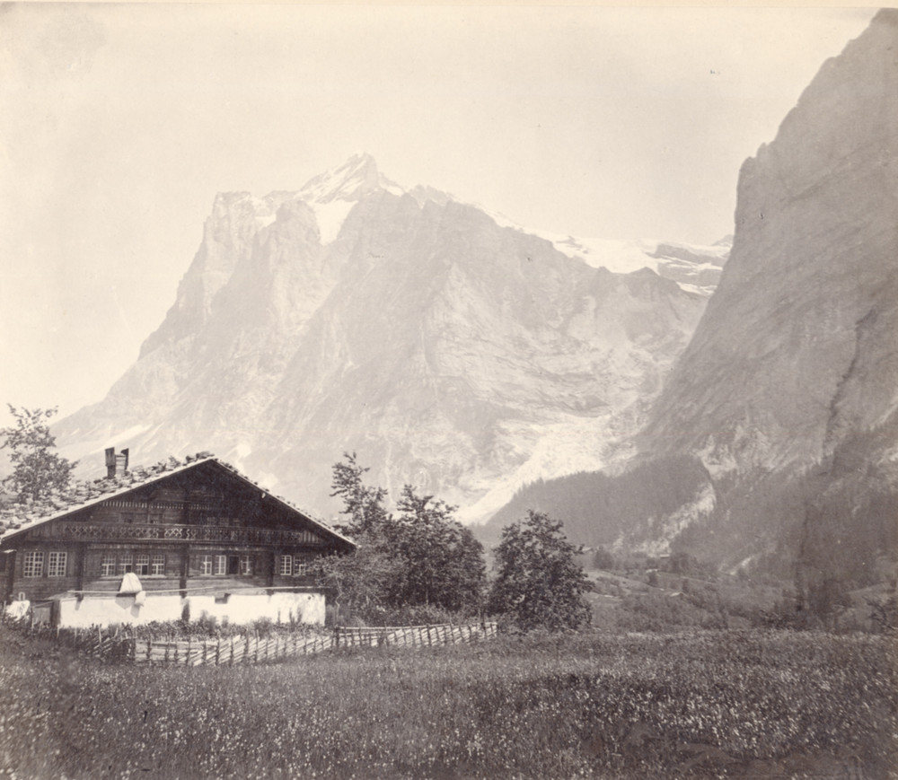 Antique Adolphe Braun 1812–1877 French Photographer Albumen Photograph Dornach