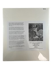 NEW Wildlife Photography Print: Stranger In The Woods ‘Mama Returns’ 8×10 Matted
