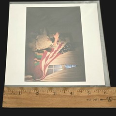 BIEKE DEPOORTER Magnum Square Print USA February 21, 2009 6″x6″ Archival Signed