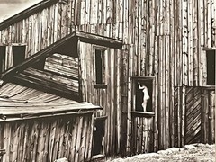 Lyle Wessale original photography copy 24/50 Old Mine signed framed certified