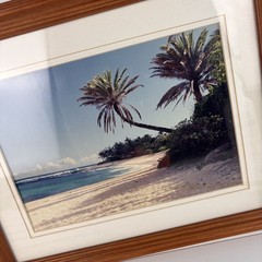 Vintage John Vragel “Sunset Beach” Framed Tropical Palm Tree Photograph Art