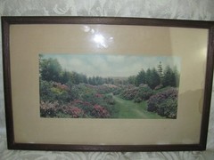 Antique Garden Flowers Path Hand Tinted Photograph Print Wallace Nutting Style