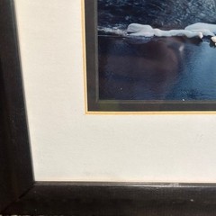 Winter Nature Landscape Scene Signed Photograph Artwork by Sam Pathi Framed