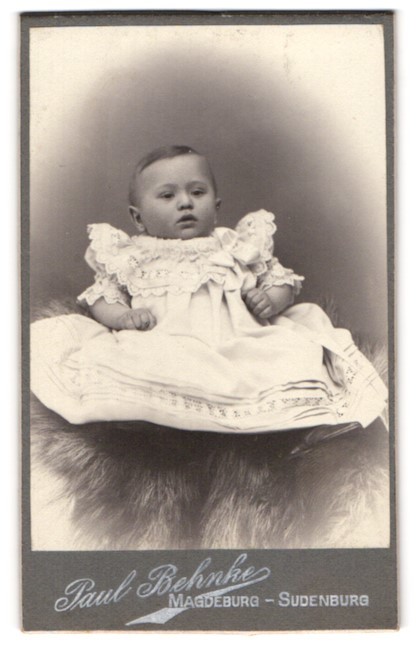 Photograph Paul Behnke, Magdeburg-Sudenburg, Halberstädterstr. 40, Portrait Never