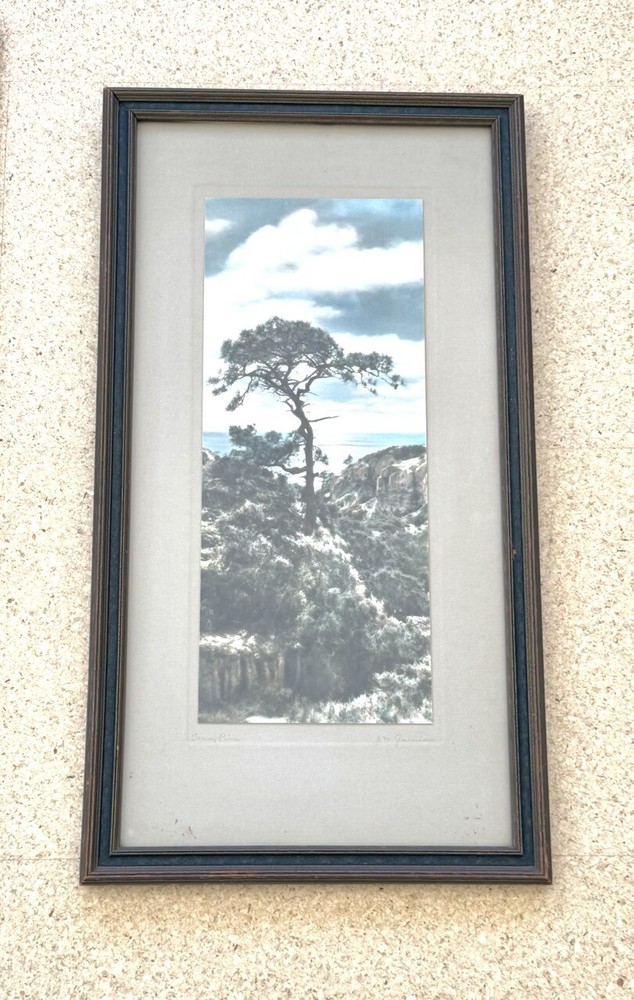 Lg VTG J.M. Garrison Hand Tinted Oil Color Photo Torrey Pines 12.5”x23.5” VGC