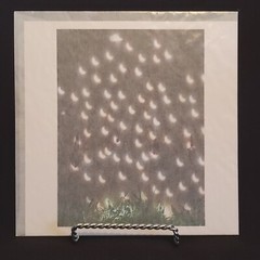 Magnum ABELARDO MORELL Square Print 6″x6″ ECLIPSE ON WOOD NEWFOUNDLAND Unopened