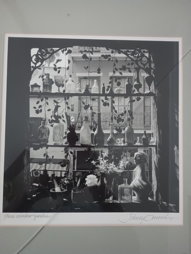 Johnny Donnels Glass Window Garden Signed New Orleans Photo Cracked Glass w/ Bio