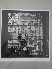 Johnny Donnels Glass Window Garden Signed New Orleans Photo Cracked Glass w/ Bio