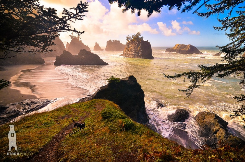 Secret Beach – Southern Oregon Coast – Fine Art Photography Prints by Bear8Photo