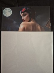 Fantasy of Cosplay #1 Full Chase Catwoman VIRGIN Variant Ltd 100