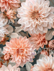 Digital Photo Image Beautiful White Flowers Picture Art Wallpaper Desktop