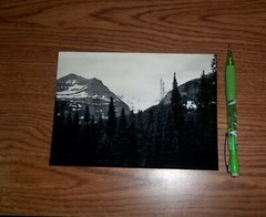 Black & White “Over the trees snow peak mountains” 5 X 7 picture.