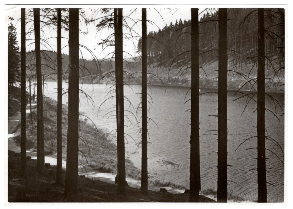 Saale Dam, around 1930 – landscape photograph by Georg Fiedler