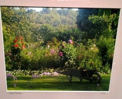 Monet Garden Giverny France Signed Photography Framed Matte 12 X 15 Claude Monet