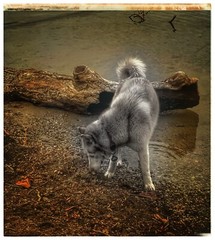 framed original artwork Photography