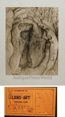 Wood texture vintage abstract art photo