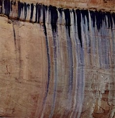 1962 Eliot Porter Glen Canyon Dried Seep Wall Navajo Sandstone Art Photo Gravure