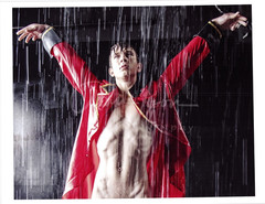 11 X 8.5 Alan Lyon Original Male Photo gay interest (4) Eelvis arms up