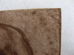 1890s RAPHAEL SANZIO -LEG DRAWING- Carbon Print/Photogravure BRAUN CLEMENS & CIE