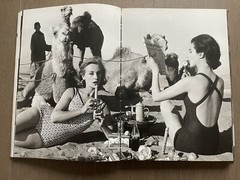 🎈SIGNED! William Klein In and Out of Fashion Photography HC First Ed 1994 SRARE