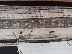 WALKER EVANS Original Silver Gelatin “Sidewalk scene in Selma, Alabama” 1935