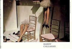 Harry Callahan (1912-1999) Art Announcement Card – Color – 2002