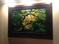 Peter Lik Inner Peace ARTIST PROOF ONLY 45 ever created PREM FRAMING SOLD OUT