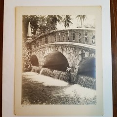 Original Photo Stone Bridge Over Waterfall Palm Trees Ferns Vines 1962 Furbos