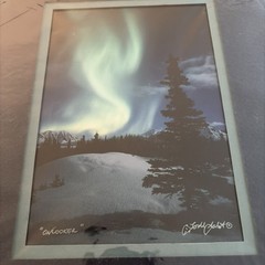Onlooker Todd Salat Alaska Aurora Borealis Landscape Signed Photograph Color