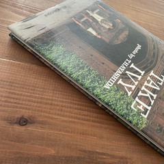 Take Ivy 1973 Reissue / Reprint Edition Book T. Hayashida Japanese ver.