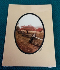 Lot of 8 : BARRY GAMOW signed 5″ x 7″ matted PHOTOS @ Rural BARNS & MILL HOUSES