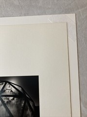 MICHAEL KENNA Signed GREENHOUSE Toned Gelatin Silver Print LIMITED EDITION 1979