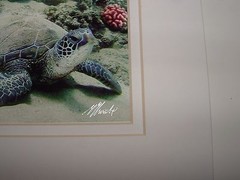 Hawaii Sea Turtle Ocean Photo, “Covered in Sand”, Matted, Age Unknown, pre-owned