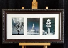 Urban Photography, 23 X 13″ 3 Digital Images, Belle Isle Detroit, Framed