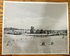 Arthur Gray Standard Oil Photographer Cleveland Ohio Americana Haystacks Monet!!
