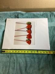 Michael Craven Fine Photography “StrawBerries” Signed Framed 131/350 Print 1996