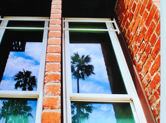 Artistic Brick Building Metal Print Professional Photograph/Palm Trees 16″ x 20″