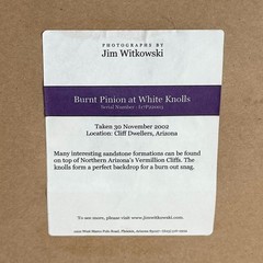 2002 Jim Witkowski 8×10 Color Photograph “Burnt Pinion at White Knolls” Arizona