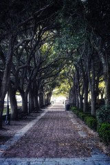 “Trunnel” Photography Wall Art & Prints