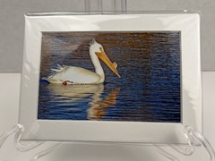 White Pelican Sea Bird Art Photography Matted 7×5 Inch Beach Decor Brauer